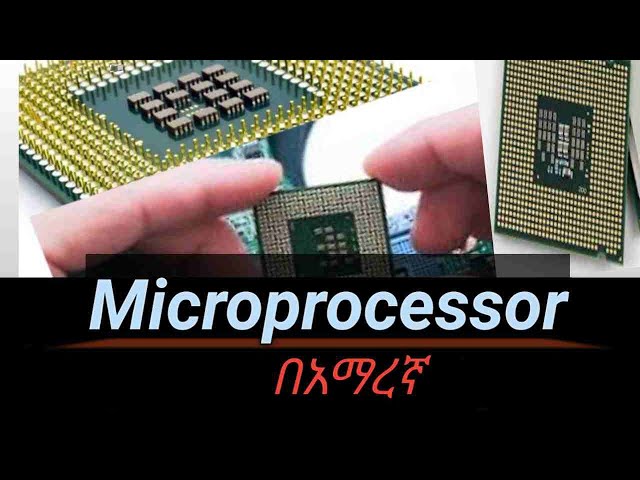 introduction to Microprocessor በአማረኛ