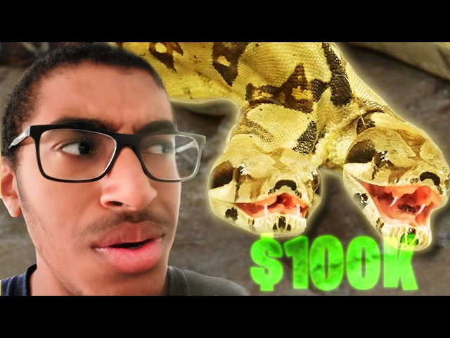 The MOST Expensive Pet Snakes