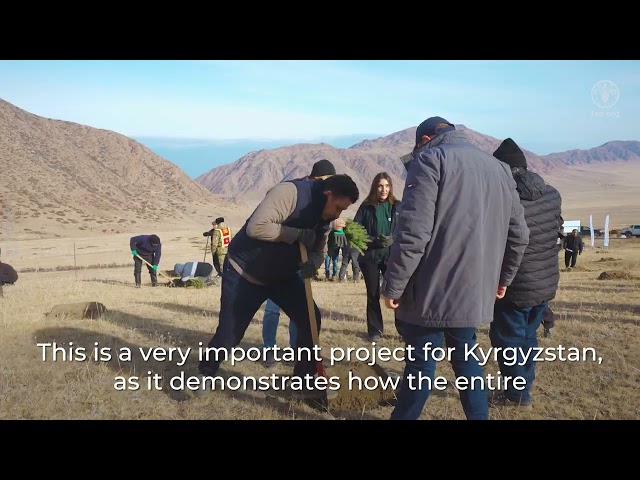 Kyrgyzstan strengthens efforts to restore forests and protect mountain ecosystems