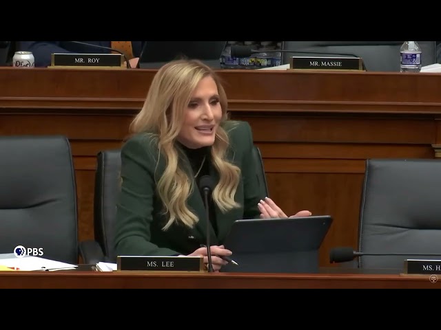 WATCH: Rep. Lee questions Jack Smith on Trump investigations