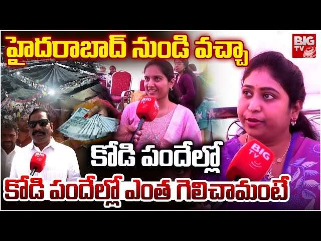 Ladies In Bhimavaram Kodi Pandalu 2026 | కోడి పందేల కోసం హైదరాబాద్ నుండి వచ్చా | Sankranthi 2026