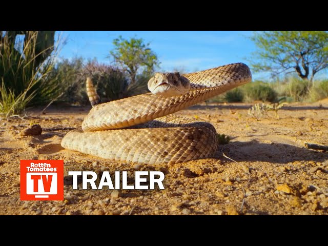 Tiny World Season 1 Trailer | Rotten Tomatoes TV
