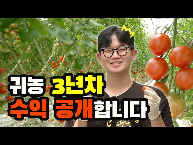 25살 청년 농부의 방울토마토 연 매출은? | ep.3 청년 농부의 한 수_빚 대신 기획서 | #귀한집