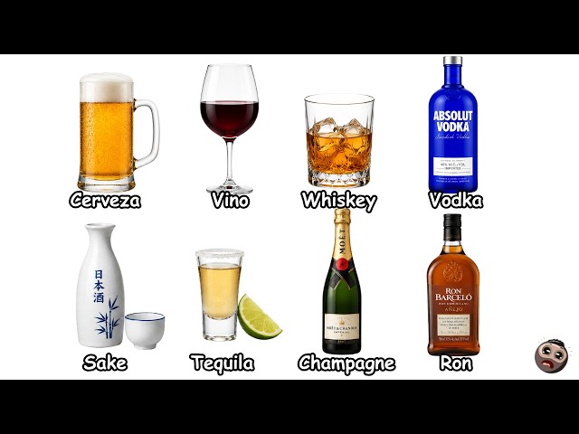 All Alcoholic Drinks Explained in 17 Minutes