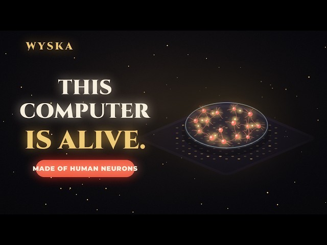 Computers Made of Human Brain Cells Already Exist