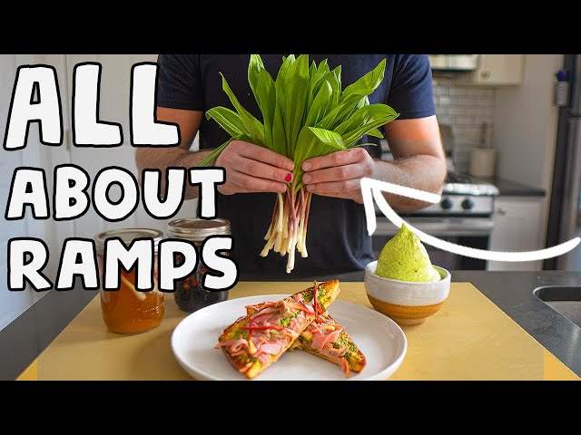Ramps EXPLAINED! (Wild Onions)