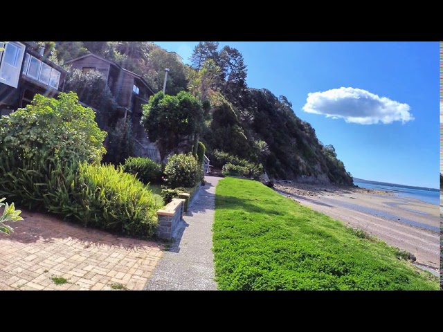 Karaka Bay 4K UHD walk around video with amazing nature audio / Auckland 4K / New Zealand 4K video