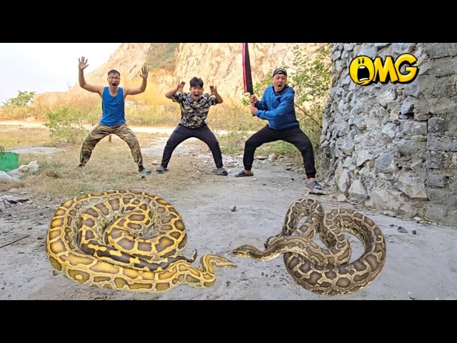 Brave Experts Rescue Ethnic Boy Attacked by Anaconda in Abandoned House