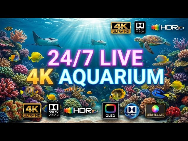 Live Aquarium Ambience • 4K ULTRA HD🐠 Relaxing Coral Reef Fish • Sleep, Study, and Cat TV🔴 LIVE 24/7