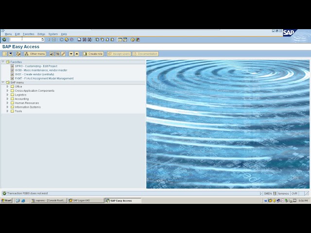 FB00||Accounting Editing Options in SAP - Part 2
