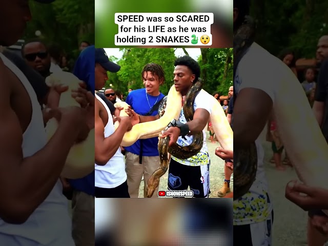 IShowSpeed SHAKING While Holding 2 GIANT Snakes! 🐍😱 #IShowSpeed #Shorts #Eswatini