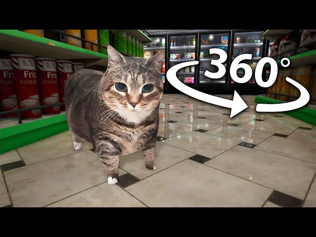 U II A IO UI A I O xCat Supermarket | 360° VR  Animation