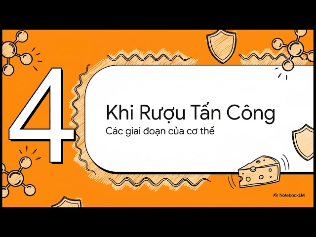 Phô Mai  - Bí quyết chống say