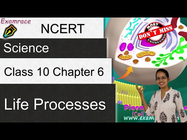 NCERT Class 10 Science Chapter 6: Life Processes | English | CBSE | NTSE | ICSE