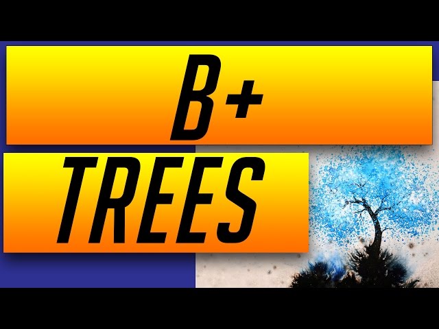 Data Structures: B+ Trees