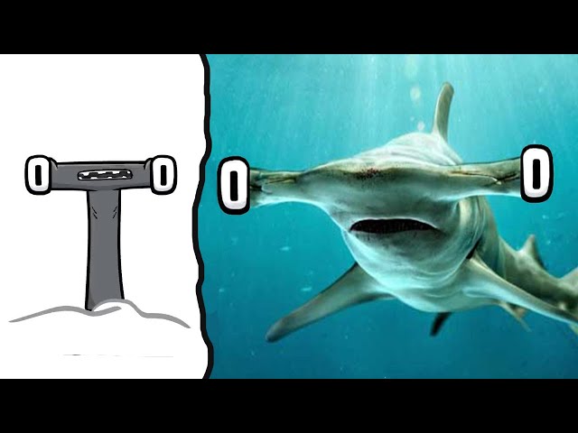 REAL LIFE VS ORIGINAL | Alphabet Lore in Real Life #4