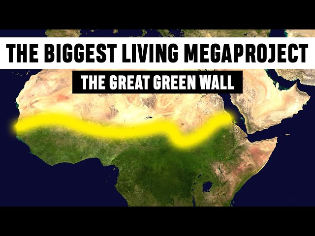 The Biggest Living Megaproject | Great Green Wall