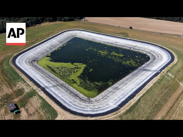 Drought in the UK dries up water reservoirs and threatens food production