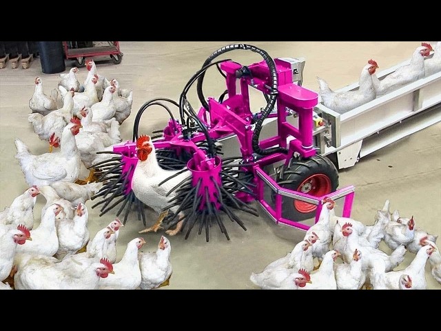 Most Satisfying Factory Machines and Ingenious Tools Ep ▶11