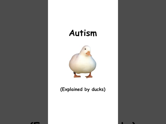 Autism (explained by ducks)