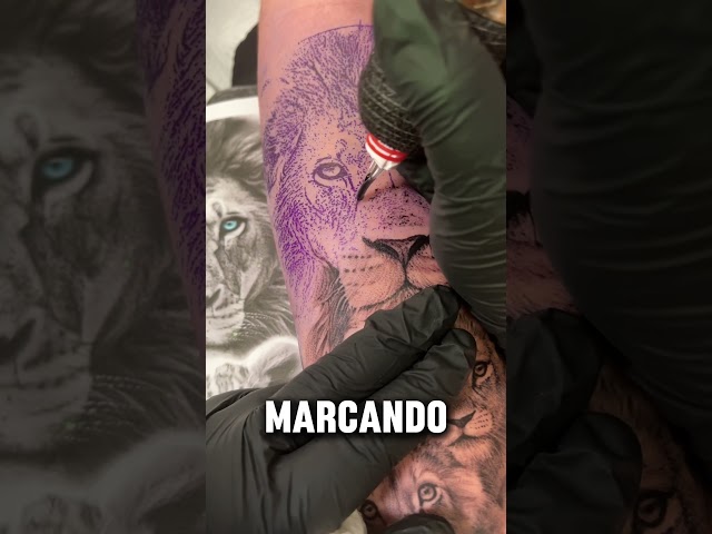 Como tatuar pelo de león correctamente. Comenta si quieres parte 2 #tattoo #tatuaje #tips #process