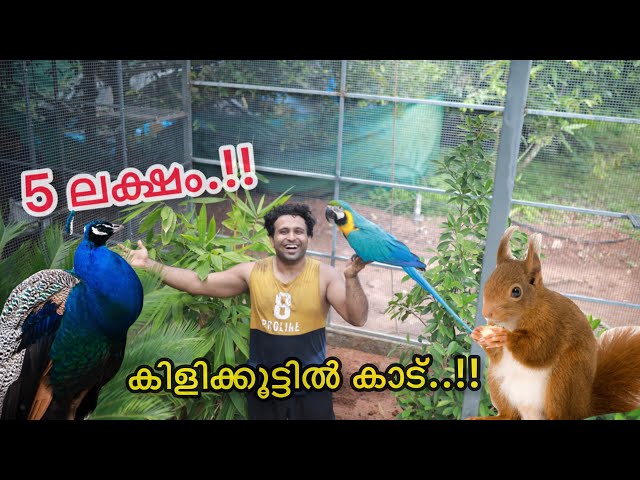 💥5 ലക്ഷം കൊണ്ടു കിളിക്കൂട്ടിൽ ഒരു Amazon കാടുണ്ടാക്കി | പുതിയ aviary | New Backyard Aviary Making