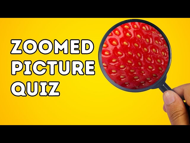 Zoomed Picture Quiz - Zoomed in Picture Guessing Game - Guess the Zoomed Image - Close up Challenge