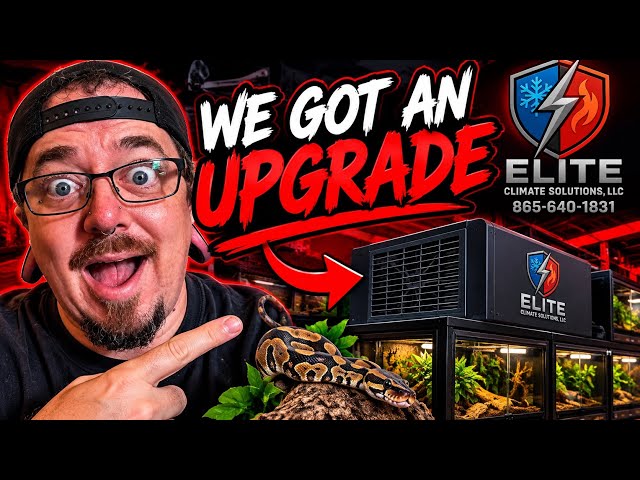 Upgrade to the Snake House!!!