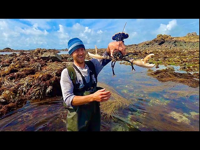 Massive Lobsters on Extremely low Tide !  Amazing Foraging Adventure - Catch and Cook