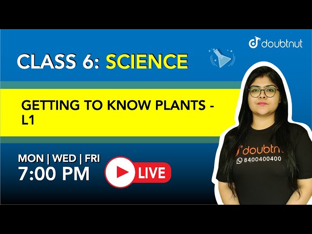 Getting To Know Plants | Class 6 - NCERT Science | 7 PM Class by Ruchi Ma'am  | L1 English Medium
