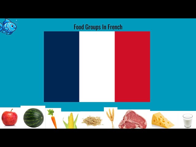 Food Groups In French