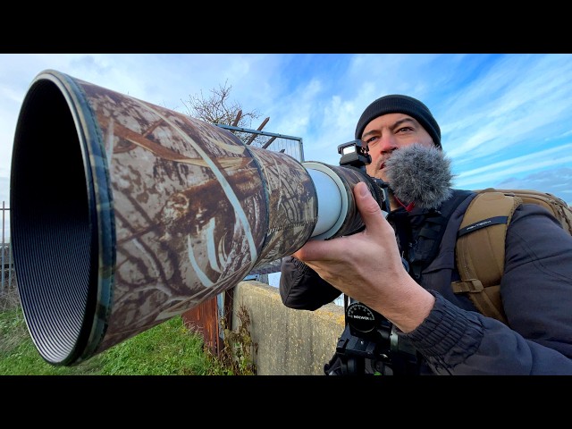 Canon RF 200-800mm For Filming Birds in Flight. How Capable Is It?