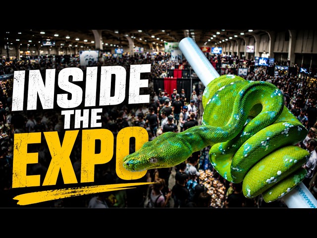 Inside the Reptile Super Show | One of America’s Biggest Reptile Expos