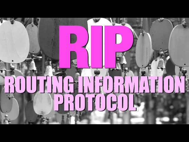 Lecture 10 - RIP Routing Information Protocol
