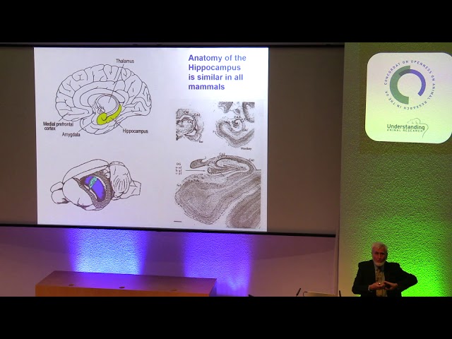 “What rodents have taught us about spatial cognition and memory”John O'Keefe 2018 Paget Lecture