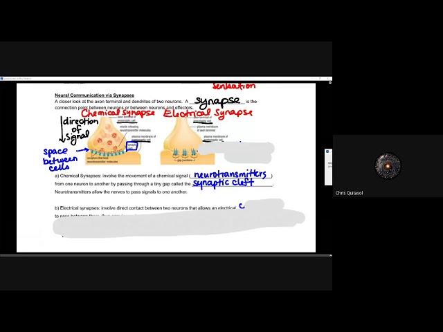 SBI4U Lesson 8