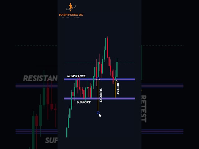 forex trading for beginners full course