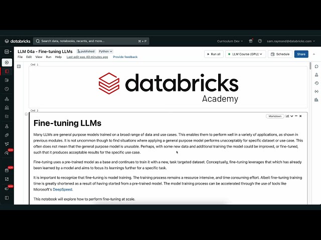 LLM Module 4: Fine-tuning and Evaluating LLMs | 4.13.1 Notebook Demo Part 1