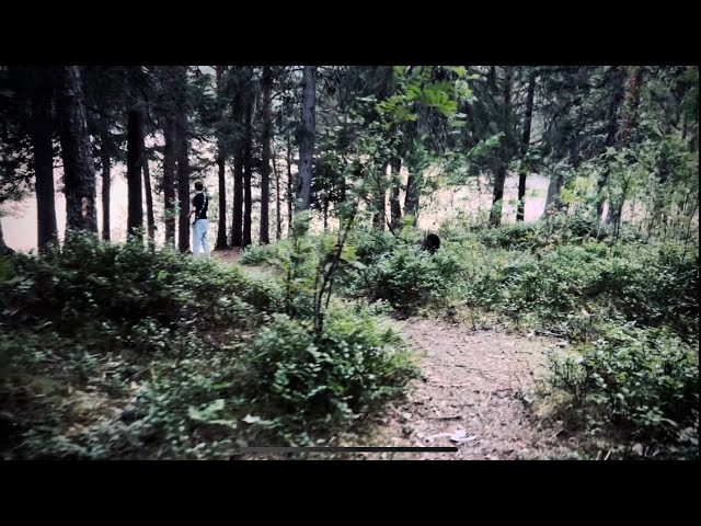 Antipole & Ja'kob - Walk With Me (ft. Pedro Code)