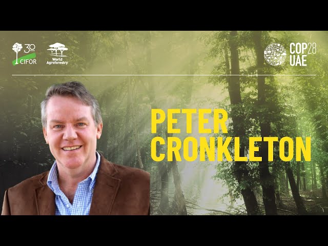 Peter Cronkleton on CIFOR-ICRAF’s forest conservation research in Peru - #Trees4Resilience