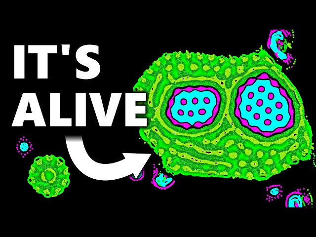 I Created Realistic Life With Particles