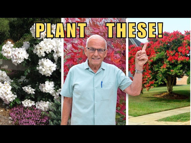 10 Plants I'll ALWAYS Use After 60 Years of Landscaping