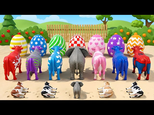 AWESOME‼️PROSES POTONG SAPI KURBAN | PROSES MELAHIRKAN CESAR SAPI, KUDA, ZEBRA & GORILA | Cow Videos