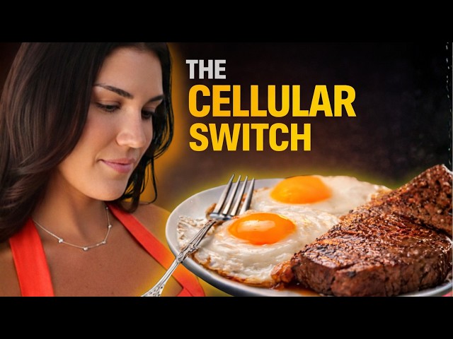 Why your cells stopped listening to insulin (and how to fix it)