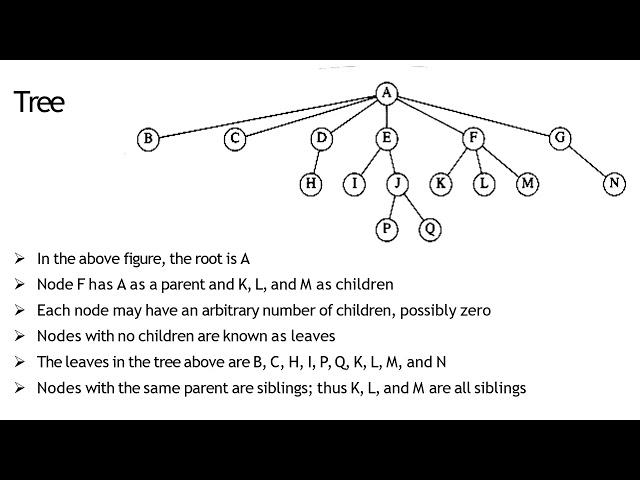 Unit IV Tree Introduction