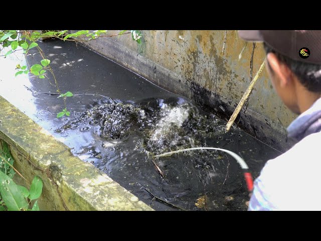 The fishing at this spot is really too fierce #SG-435
