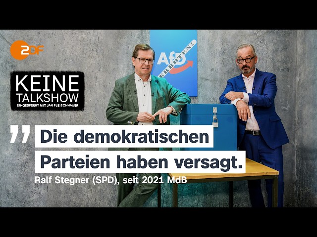 AfD-Verbot: Hilfreich oder hilflos? Ralph Stegner eingesperrt mit Jan Fleischhauer | Keine Talkshow