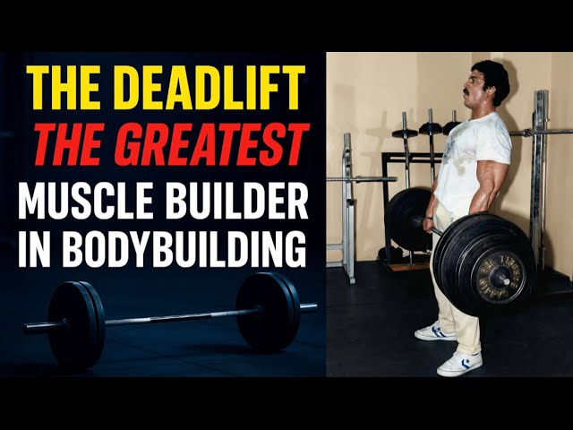 MIKE MENTZER: THE DEADLIFT - THE GREATEST MUSCLE BUILDER IN BODYBUILDING