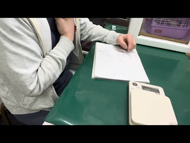 ⑦A conversation with the owner of Toko-chan, a silver Java sparrow