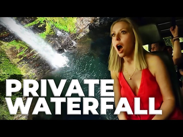 A Totally Unique Experience in the Heart of the Daintree Rainforest